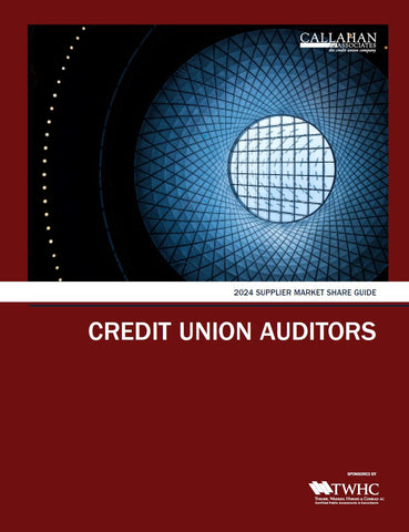 Market Share Guide: Credit Union Auditors (2024)